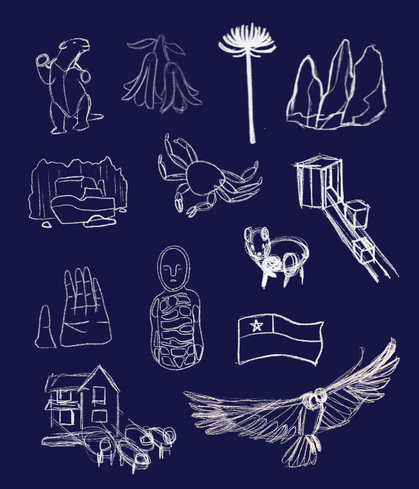 Blog - YOPPEN - Pattern ilustraciones de chile bosquejo doodles diseño chileno boceto negro